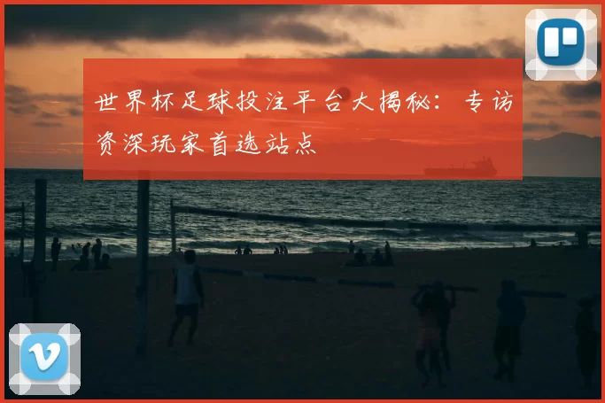 世界杯足球投注平台大揭秘：专访资深玩家首选站点
