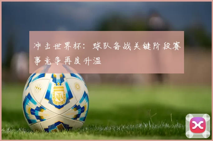 冲击世界杯：球队备战关键阶段赛事竞争再度升温