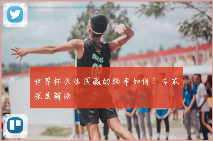 世界杯买法国赢的赔率如何?专家深度解读