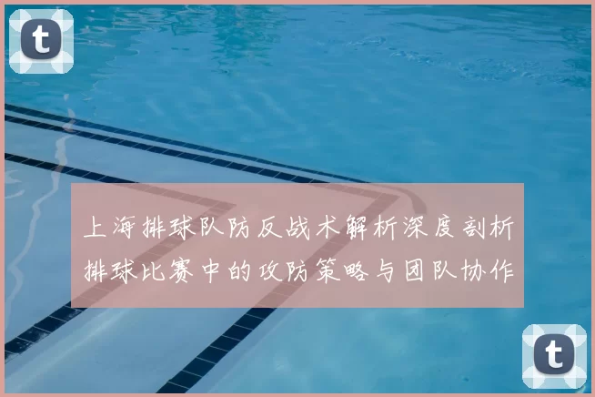 上海排球队防反战术解析深度剖析排球比赛中的攻防策略与团队协作