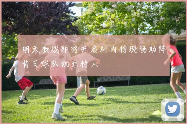 明天激战即将开启科内特现场助阵昔日球队凯尔特人