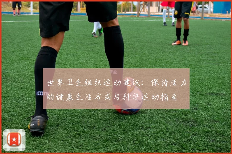 世界卫生组织运动建议：保持活力的健康生活方式与科学运动指南