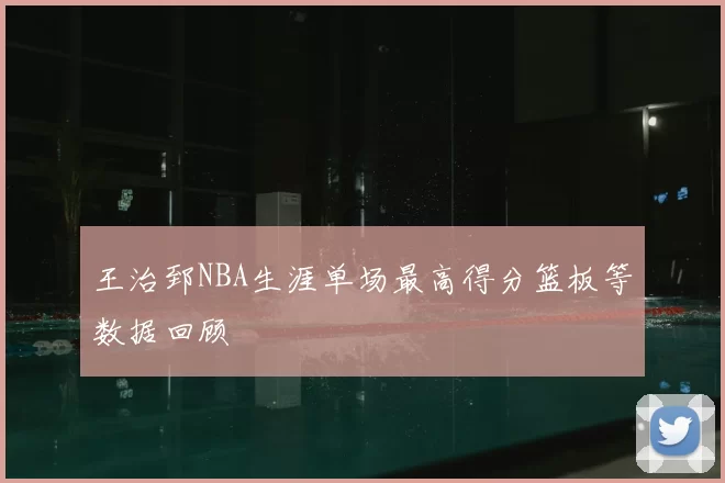 王治郅NBA生涯单场最高得分篮板等数据回顾