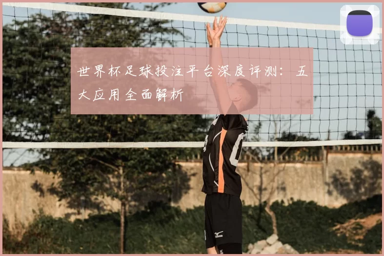 世界杯足球投注平台深度评测:五大应用全面解析