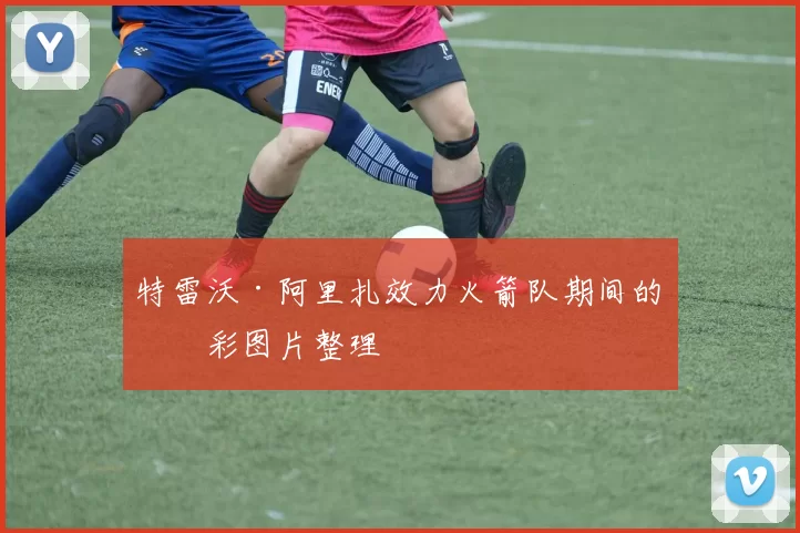 特雷沃·阿里扎效力火箭队期间的精彩图片整理