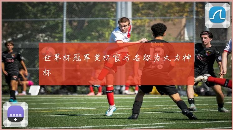 世界杯冠军奖杯官方名称为大力神杯
