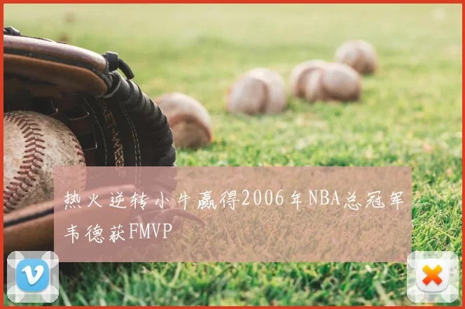 热火逆转小牛赢得2006年NBA总冠军韦德获FMVP