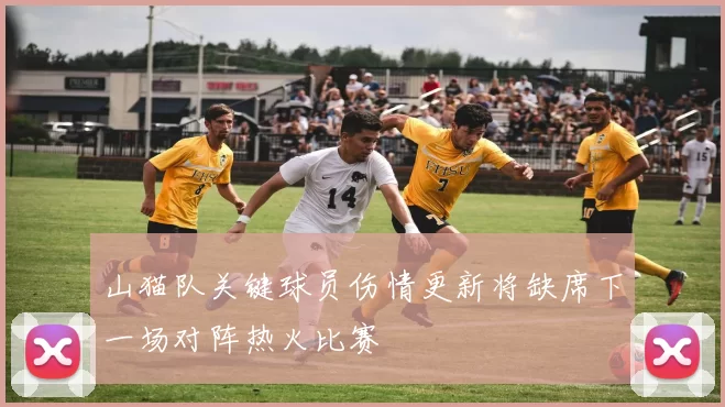 山猫队关键球员伤情更新将缺席下一场对阵热火比赛