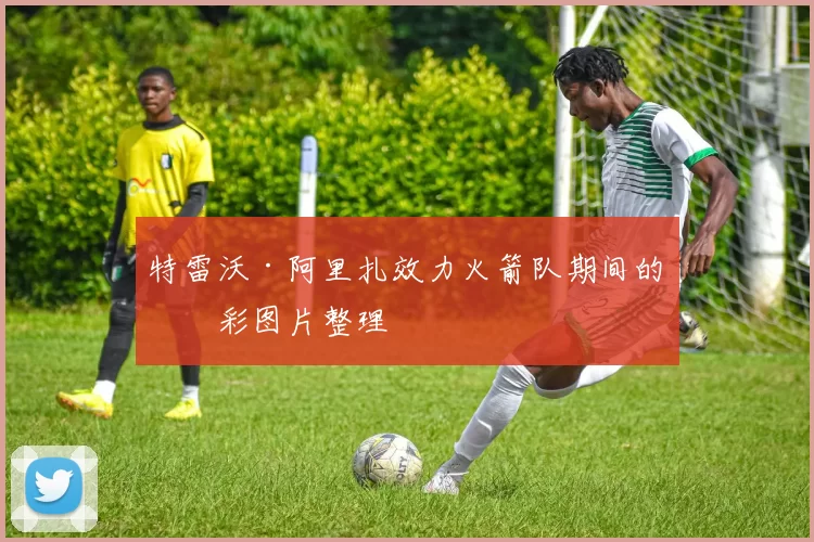 特雷沃·阿里扎效力火箭队期间的精彩图片整理