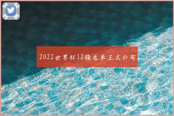 2022世界杯12强名单正式公布