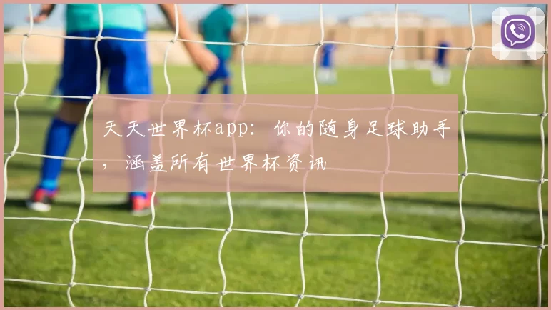 天天世界杯app：你的随身足球助手，涵盖所有世界杯资讯