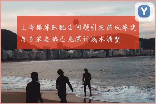 上海排球队配合问题引发热议球迷与专家各执己见探讨战术调整