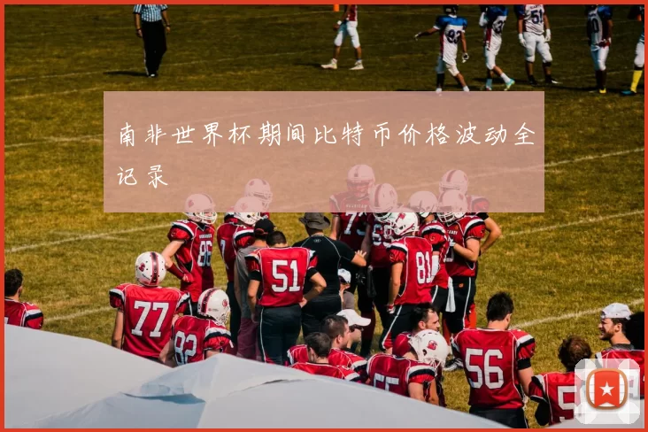 南非世界杯期间比特币价格波动全记录