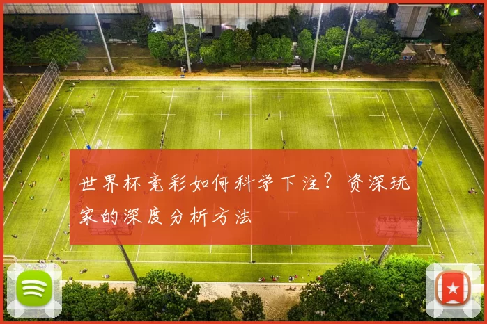 世界杯竞彩如何科学下注？资深玩家的深度分析方法