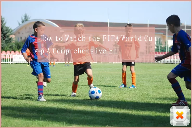 How to Watch the FIFA World Cup A Comprehensive En