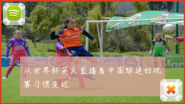 从世界杯英文直播看中国球迷的观赛习惯变迁