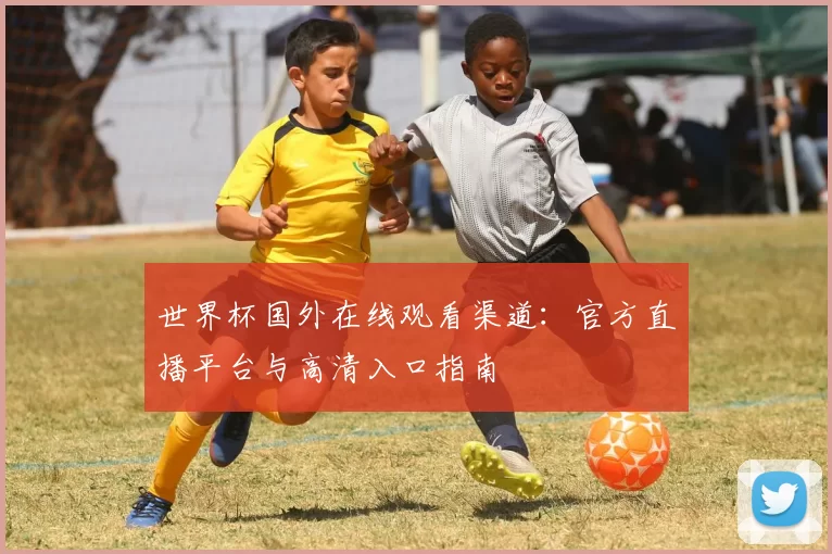 世界杯国外在线观看渠道:官方直播平台与高清入口指南
