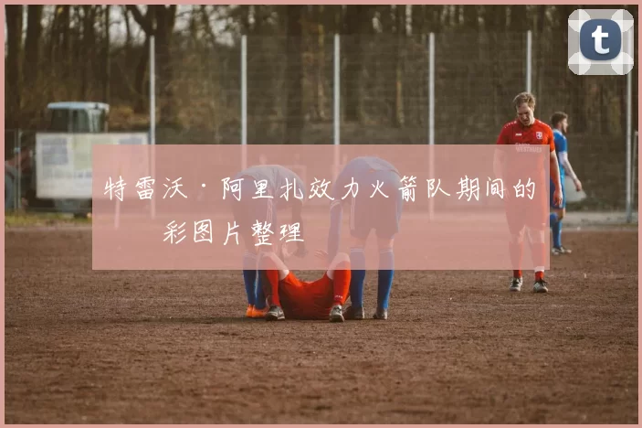 特雷沃·阿里扎效力火箭队期间的精彩图片整理