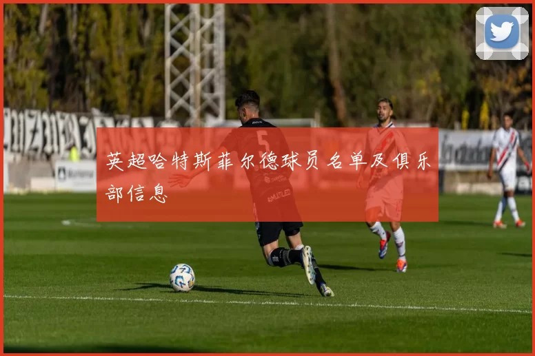 英超哈特斯菲尔德球员名单及俱乐部信息