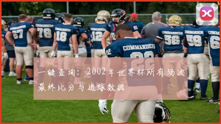一键查询：2002年世界杯所有场次最终比分与进球数据