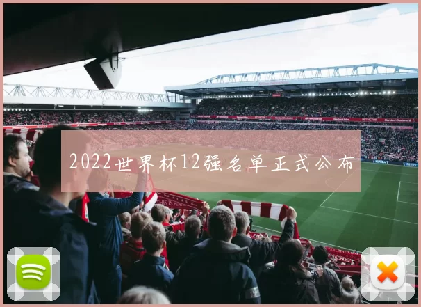 2022世界杯12强名单正式公布