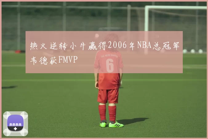 热火逆转小牛赢得2006年NBA总冠军韦德获FMVP
