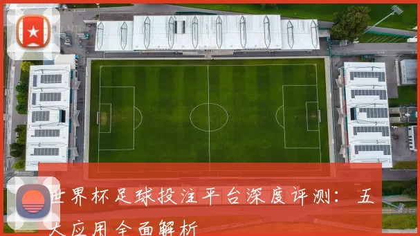 世界杯足球投注平台深度评测：五大应用全面解析